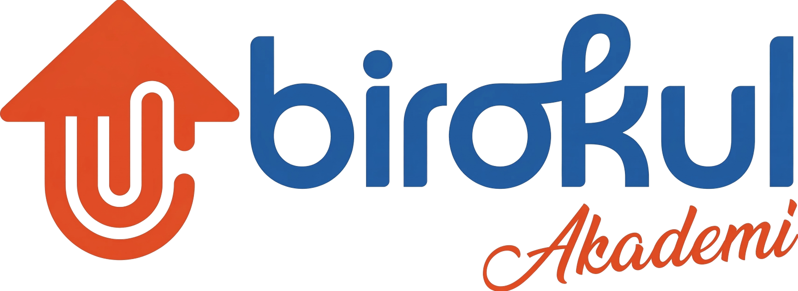 Bir Okul Akademi Logo