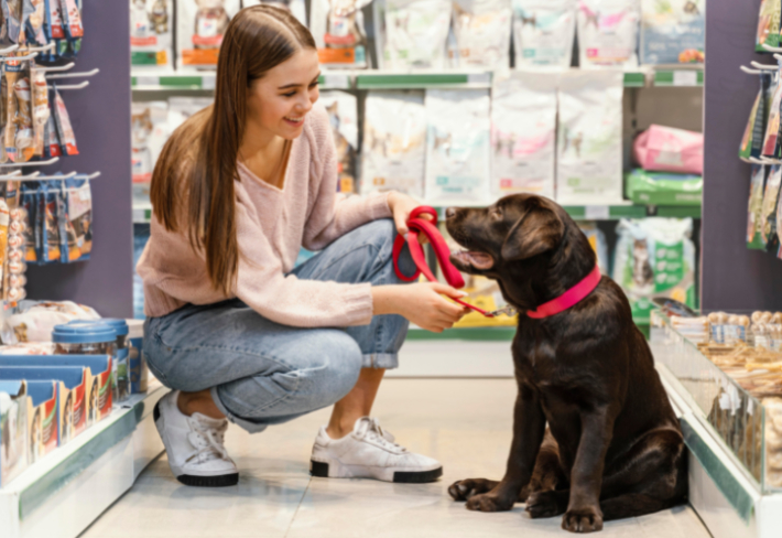 Pet Shop Eğitimi